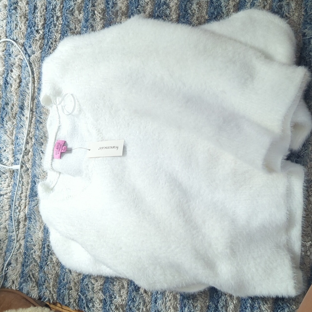 Francesca's sweater
